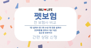 보험사 비교 상담부터 설계까지