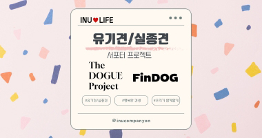 FinDog

